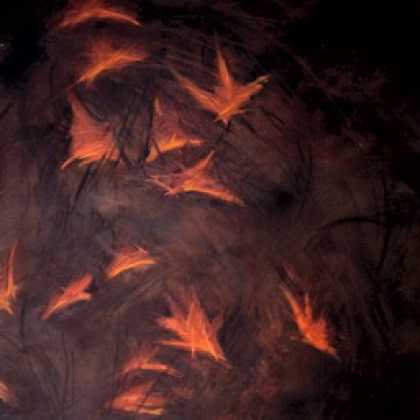 Miscellaneous CDs 4278