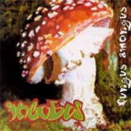 Miscellaneous CDs 5526