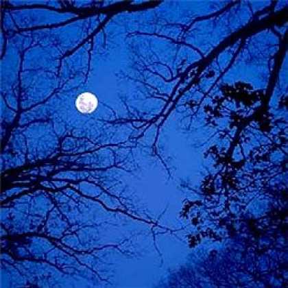 Miscellaneous CDs 5709