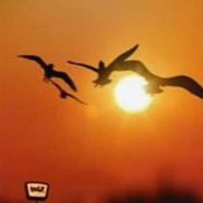 Miscellaneous CDs 6224