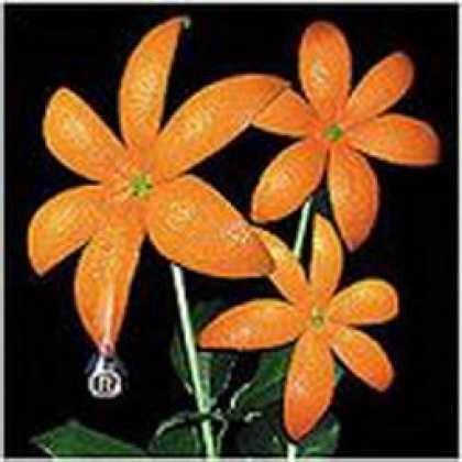 Miscellaneous CDs 6399