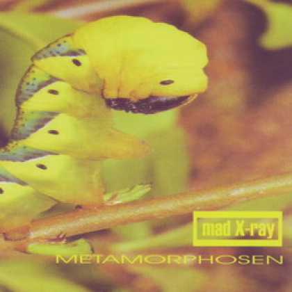 Miscellaneous CDs 64342