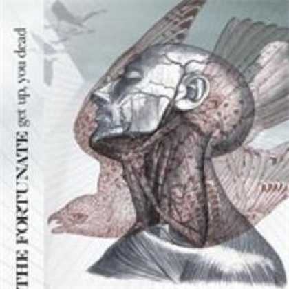 Miscellaneous CDs 8041