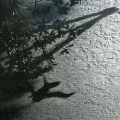 Miscellaneous CDs 81021