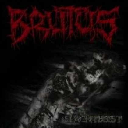 Miscellaneous CDs 81132