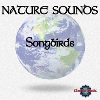 Miscellaneous CDs 81187