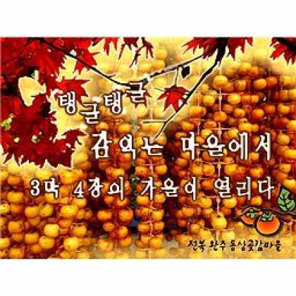 Miscellaneous CDs 81308