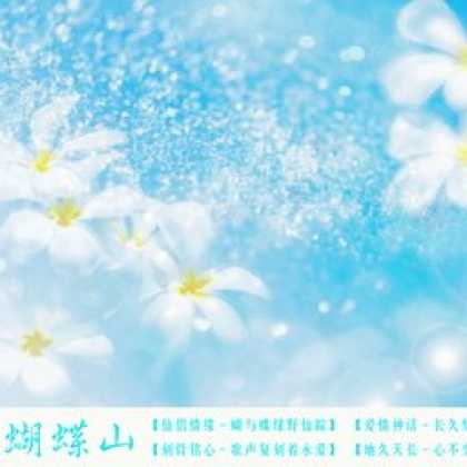 Miscellaneous CDs 82905