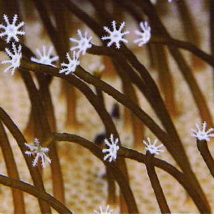 Miscellaneous CDs 92874