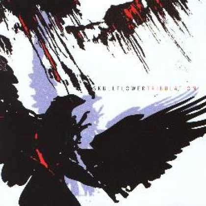 Miscellaneous CDs 9541