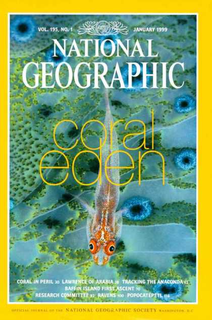 National Geographic 1238