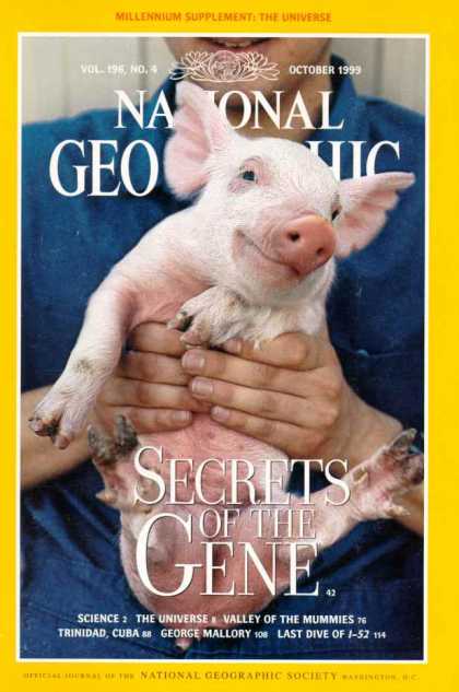 National Geographic 1247