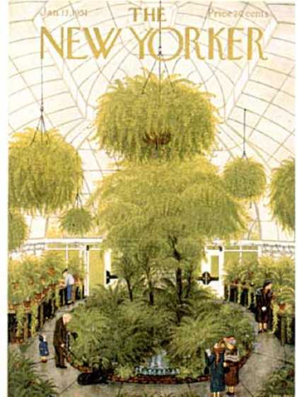 New Yorker 1313