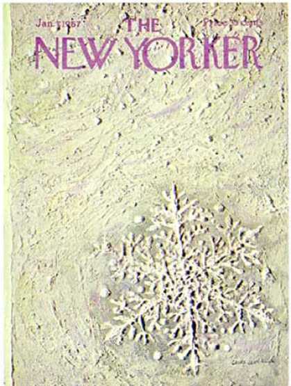 New Yorker 2106