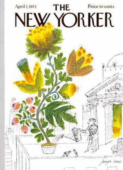 New Yorker 2407