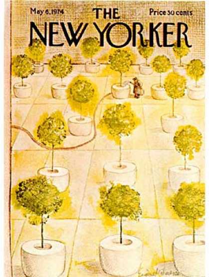 New Yorker 2458