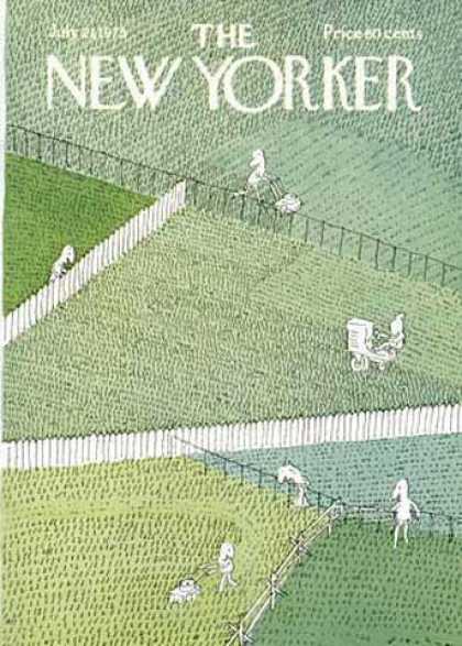 New Yorker 2518