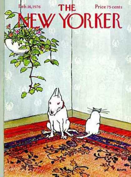 New Yorker 2547