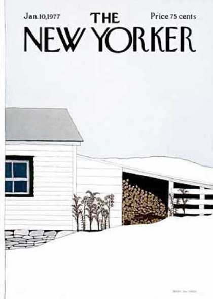 New Yorker 2594