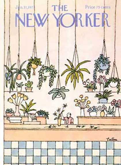 New Yorker 2597