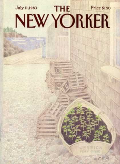 New Yorker 2895