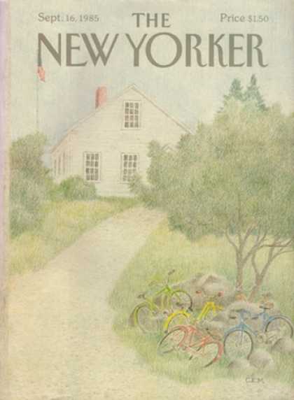 New Yorker 2994