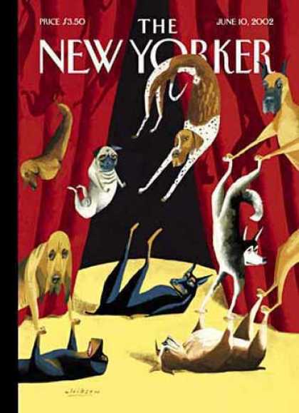New Yorker 3543