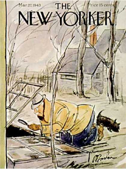New Yorker 916
