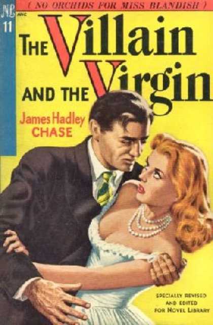 Novel Library - The Villain and the Virgin
