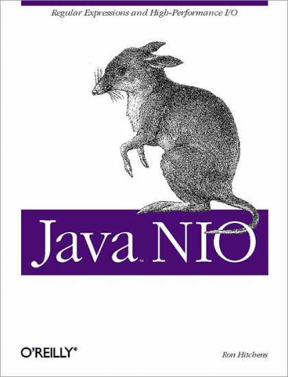 O'Reilly Books - Java NIO