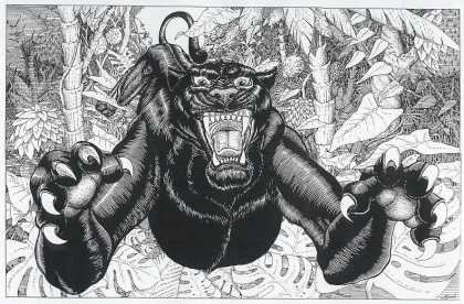 Original Cover Art - Panther