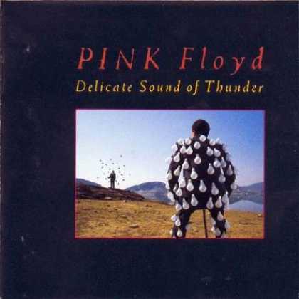 Pink Floyd - Pink Floyd - Delicate Sound Of Thunder