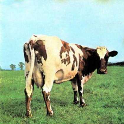 Pink Floyd - Pink Floyd - Atom Heart Mother