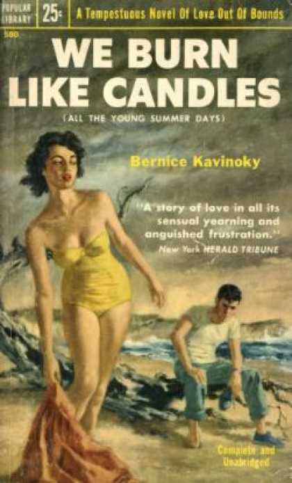 Popular Library - We Burn Like Candles - Bernice Kavinoky