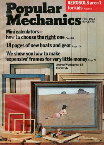 Popular Mechanics - February, 1973