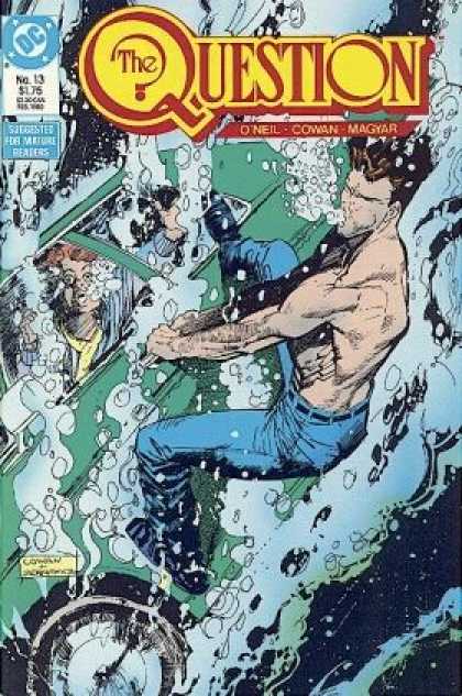 Question 13 - Bill Sienkiewicz, Denys Cowan