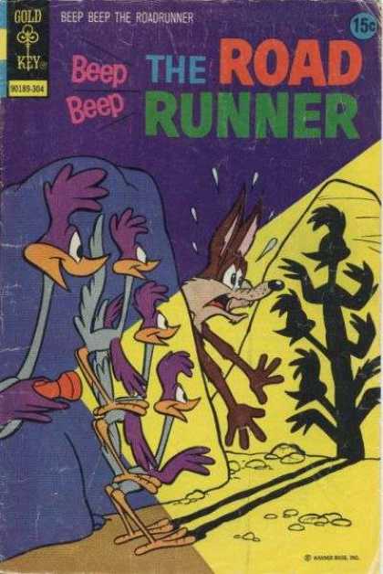 Road Runner 35