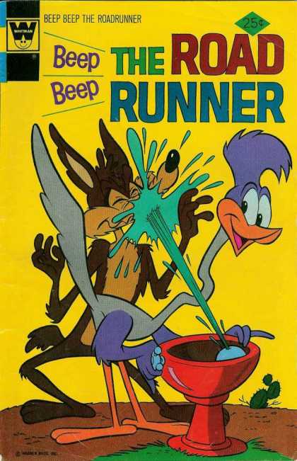 Road Runner 51 - Beep Beep - Wild - Splash - Wild Kayote - Water Splash