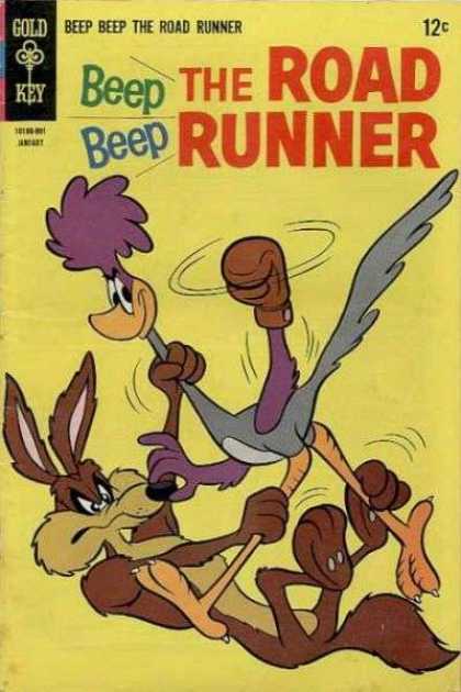 Road Runner 6