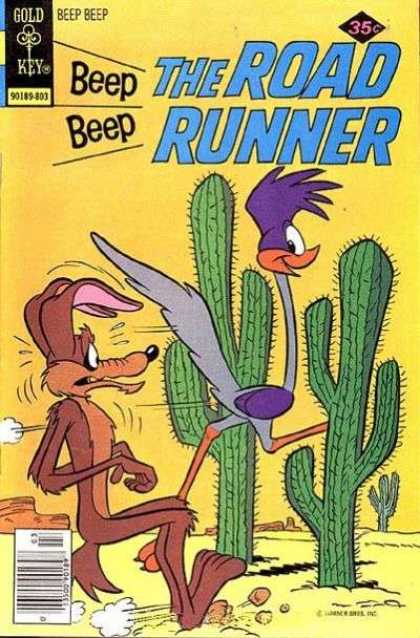 Road Runner 70