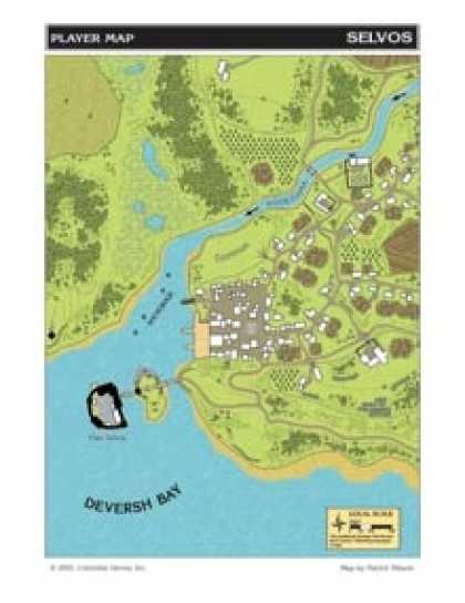 Role Playing Games - Selvos Castle