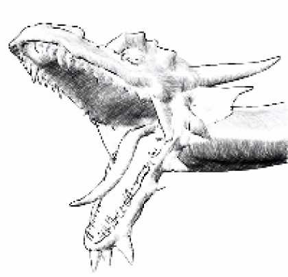 Role Playing Games - Fantasy Clip Art: Dragons Vol 1