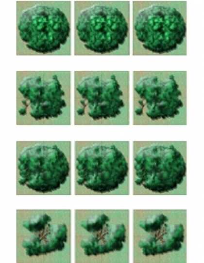 Role Playing Games - Large & Medium Tree Tiles