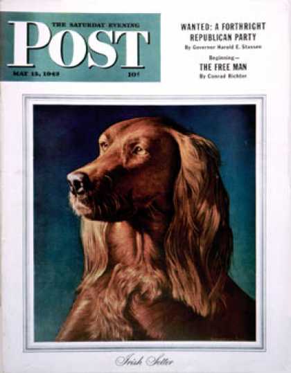 Saturday Evening Post - 1943-05-15: Irish Setter (Rutherford Boyd)