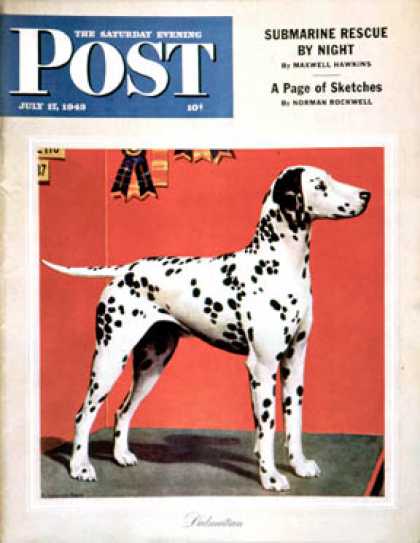 Saturday Evening Post - 1943-07-17: Dalmatians (Rutherford Boyd)