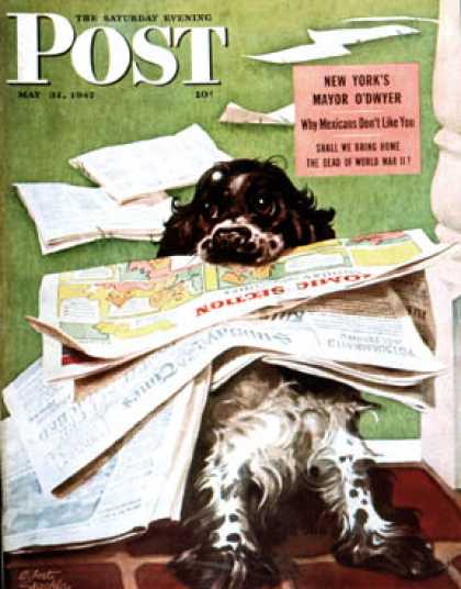 Saturday Evening Post - 1947-05-31: Butch and the Sunday Paper (Albert Staehle)
