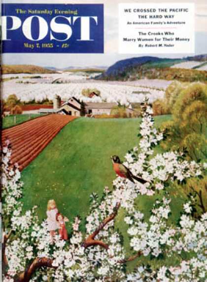 Saturday Evening Post - 1955-05-07: Harbinger of Spring (John Clymer)