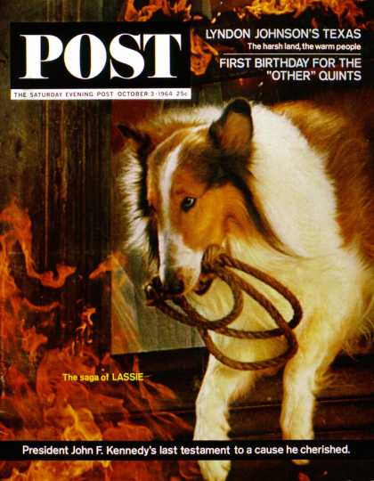 Saturday Evening Post - 1964-10-03: Lassie ! Get Help! (Lawrence J. Schiller)