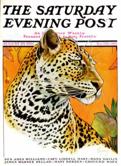 Saturday Evening Post - 1931-08-29: Leopard (Jack Murray)