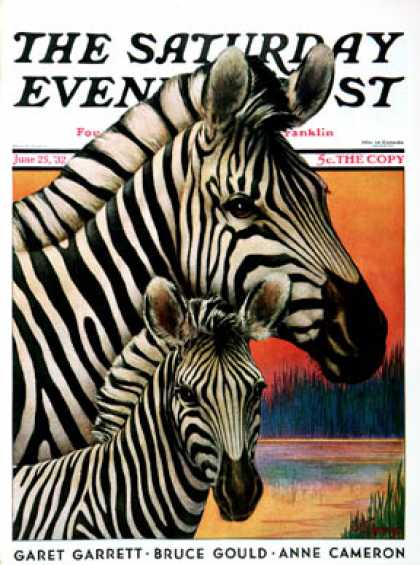 Saturday Evening Post - 1932-06-25: Zebras (Jack Murray)